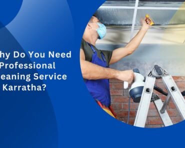 Why Do You Need a Professional Cleaning Service in  ...